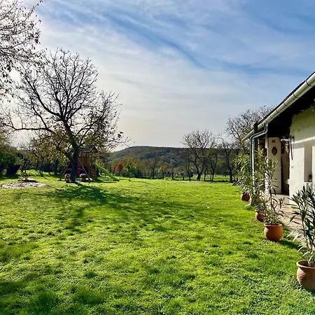 Holiday home Oeregfenyo Tornacoshaz