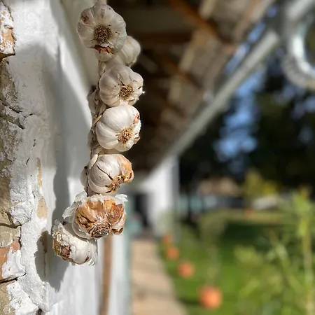 Oeregfenyo Tornacoshaz Holiday home